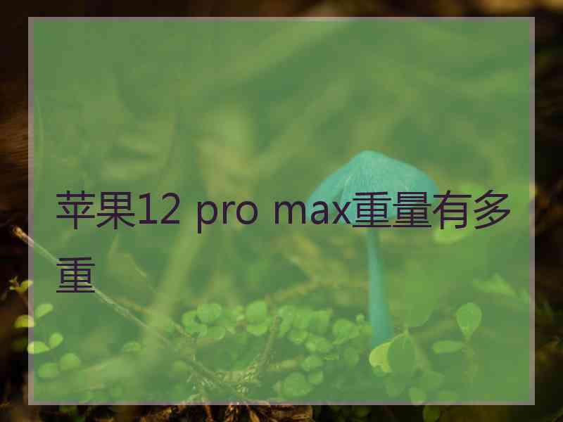 苹果12 pro max重量有多重