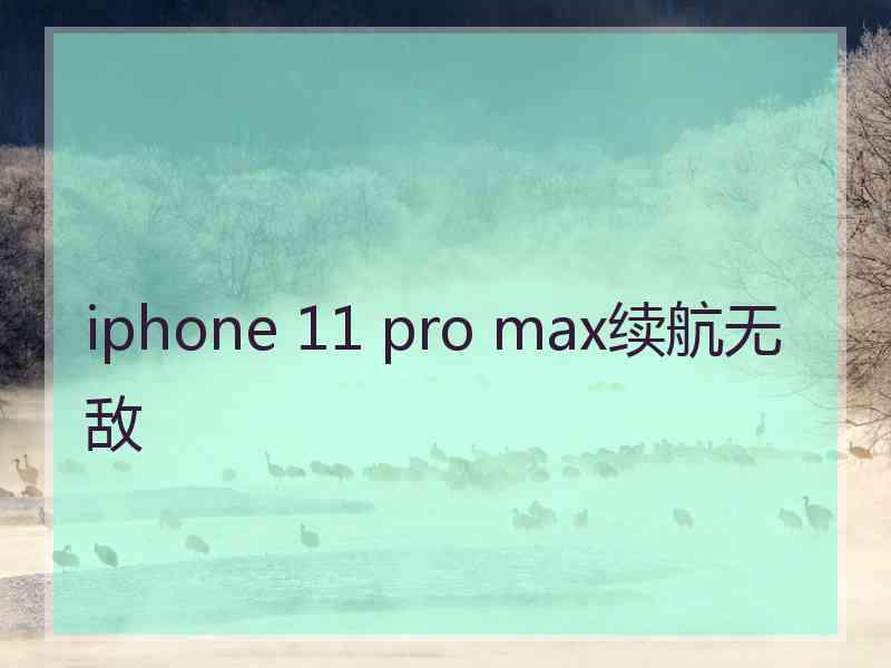 iphone 11 pro max续航无敌