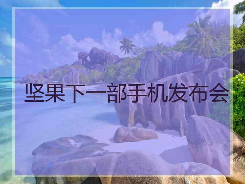 坚果下一部手机发布会