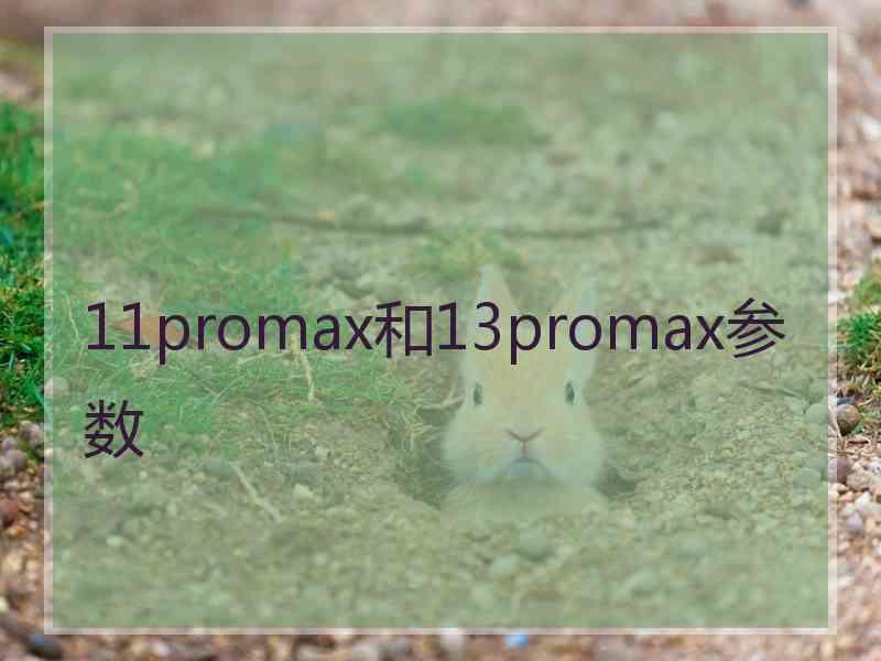 11promax和13promax参数