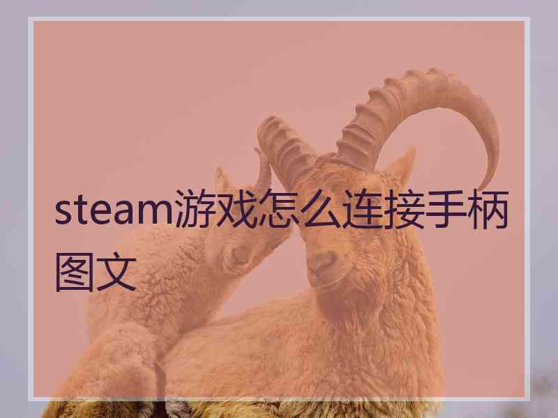 steam游戏怎么连接手柄图文