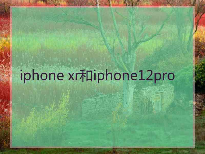 iphone xr和iphone12pro