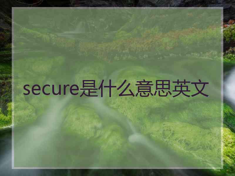 secure是什么意思英文