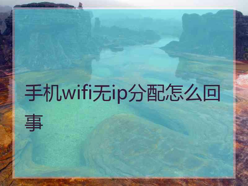 手机wifi无ip分配怎么回事