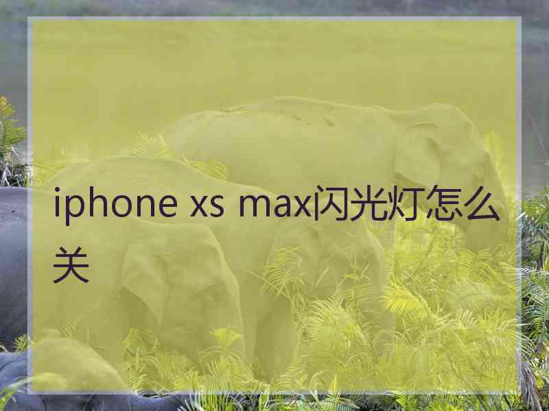 iphone xs max闪光灯怎么关