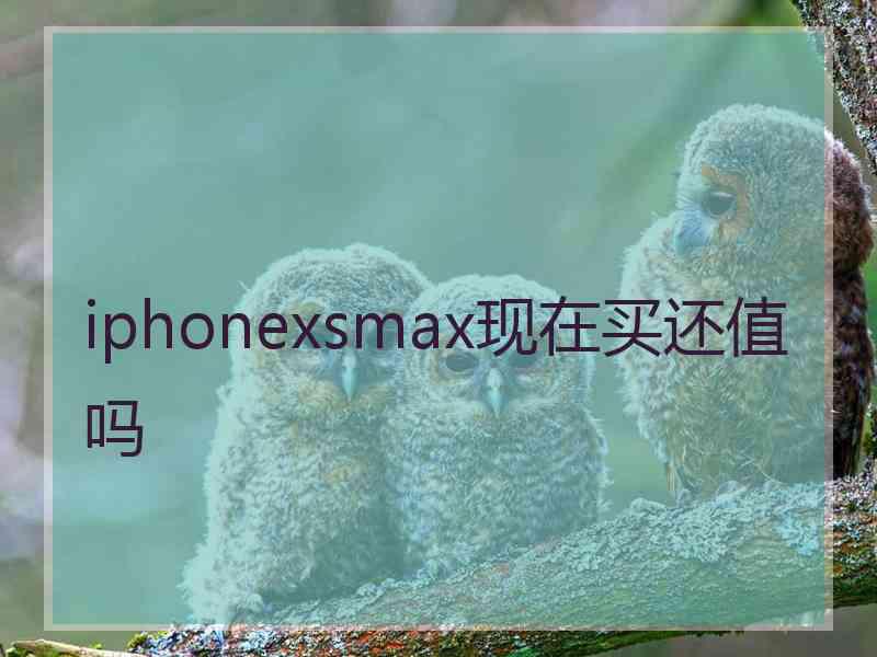 iphonexsmax现在买还值吗