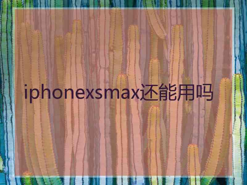 iphonexsmax还能用吗