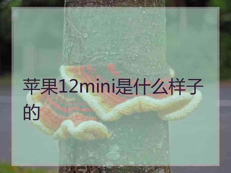 苹果12mini是什么样子的