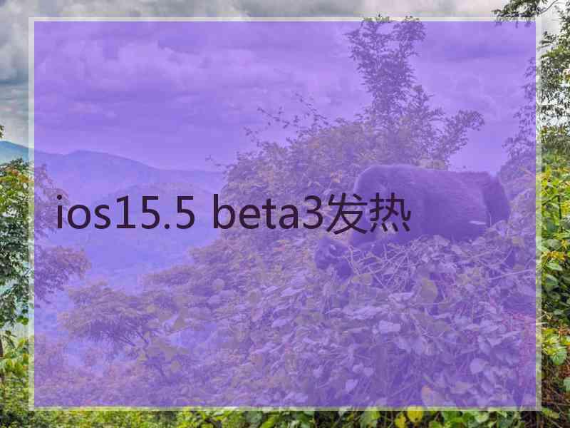 ios15.5 beta3发热