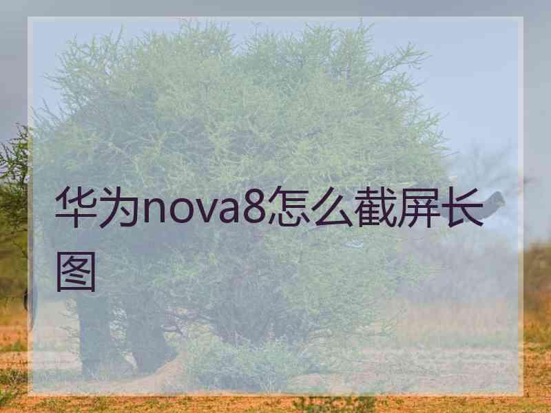 华为nova8怎么截屏长图