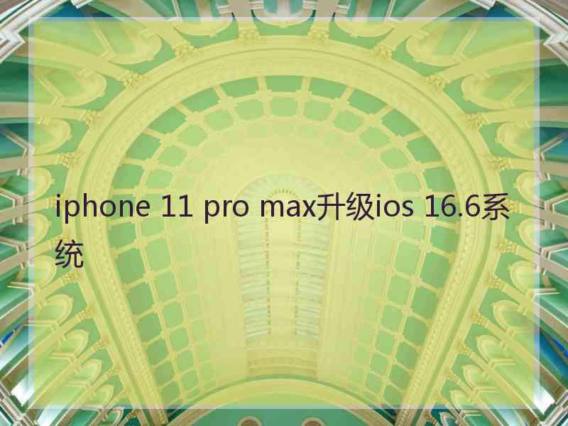 iphone 11 pro max升级ios 16.6系统