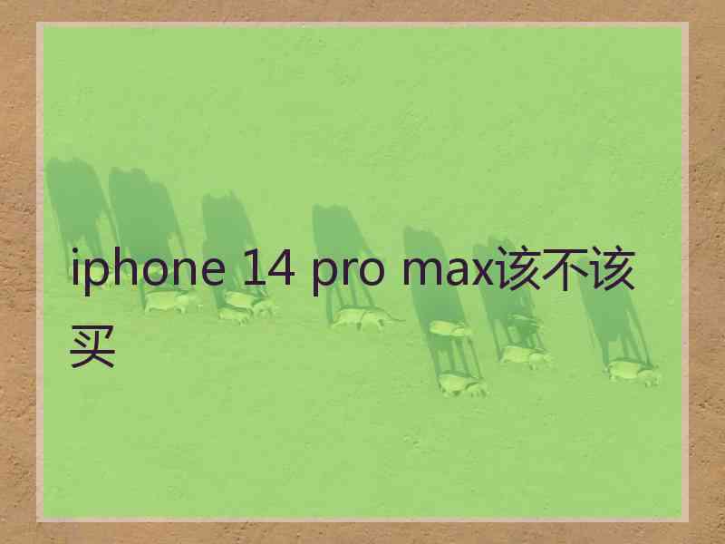 iphone 14 pro max该不该买