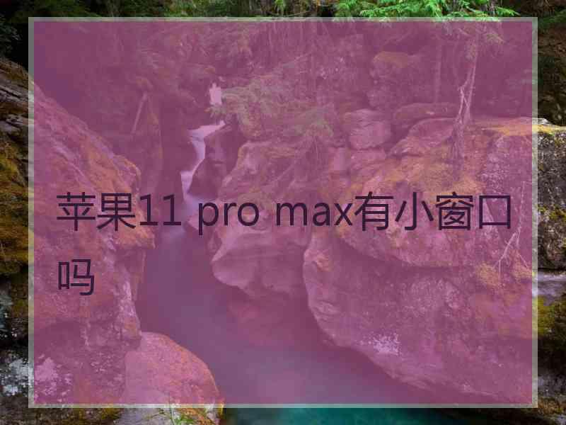 苹果11 pro max有小窗口吗