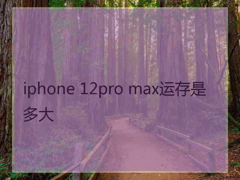 iphone 12pro max运存是多大