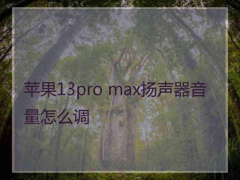 苹果13pro max扬声器音量怎么调