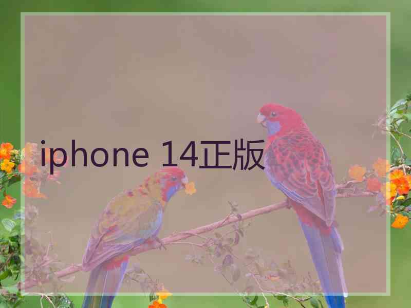 iphone 14正版