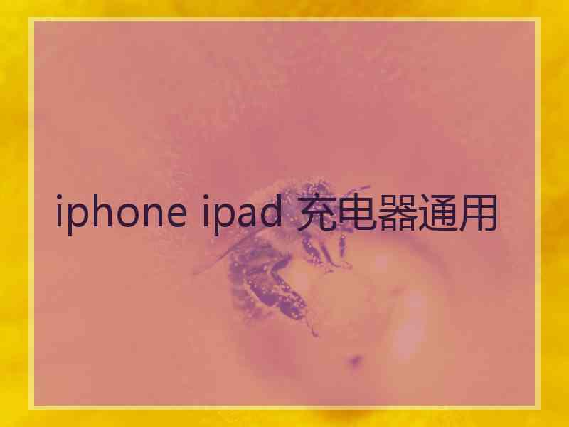 iphone ipad 充电器通用