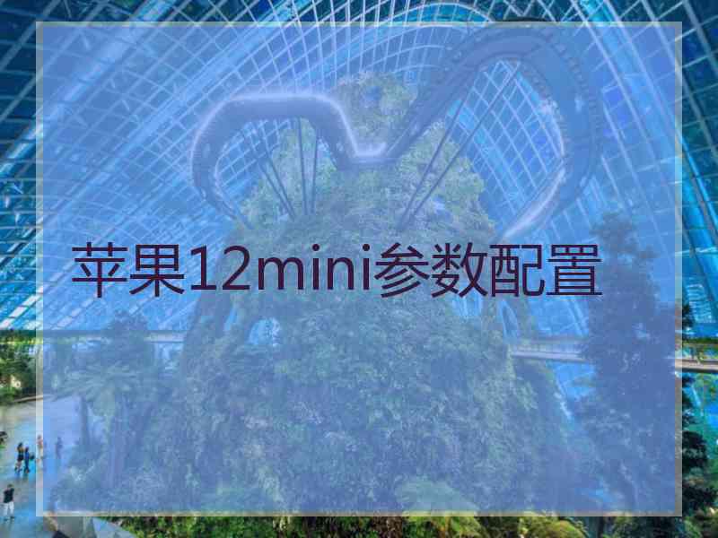 苹果12mini参数配置