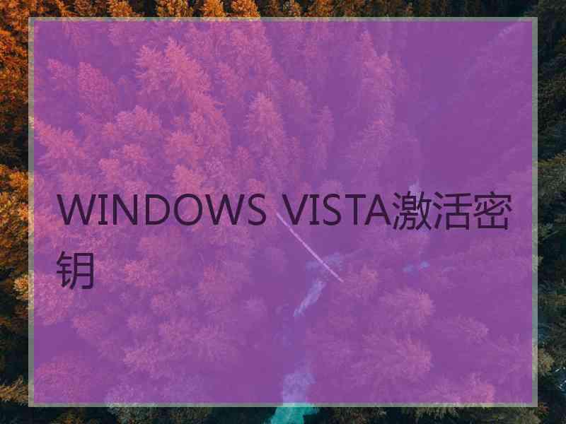 WINDOWS VISTA激活密钥