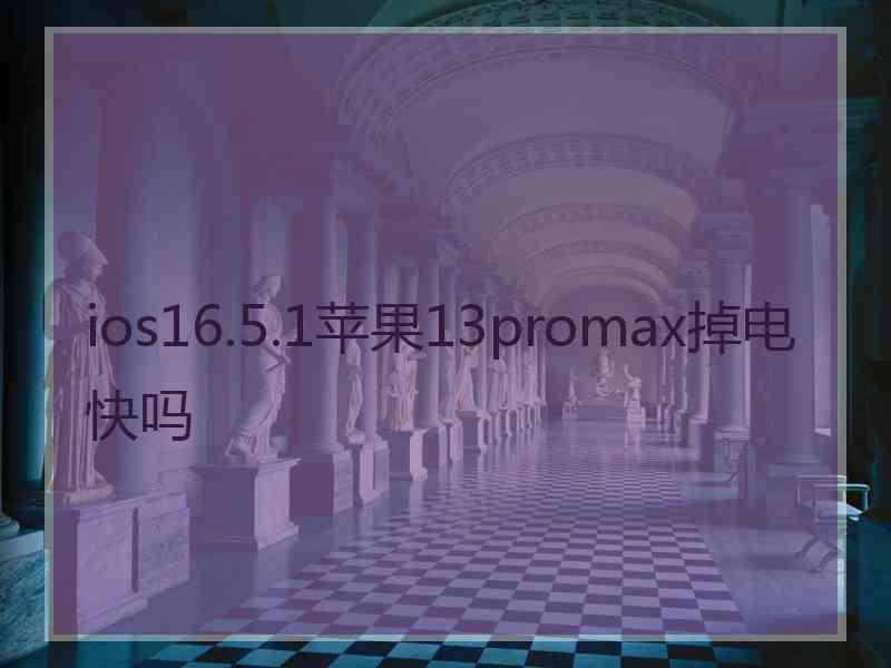 ios16.5.1苹果13promax掉电快吗