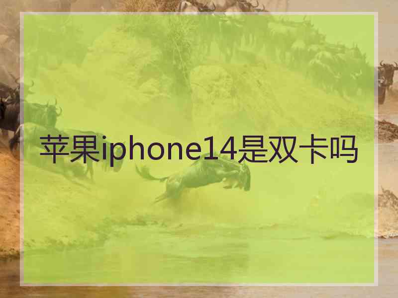 苹果iphone14是双卡吗