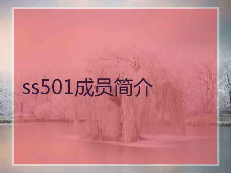 ss501成员简介