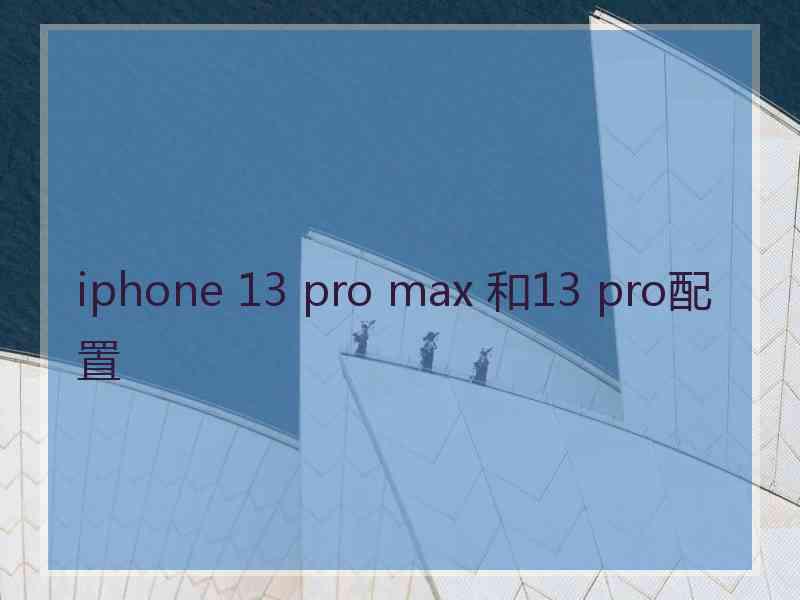 iphone 13 pro max 和13 pro配置