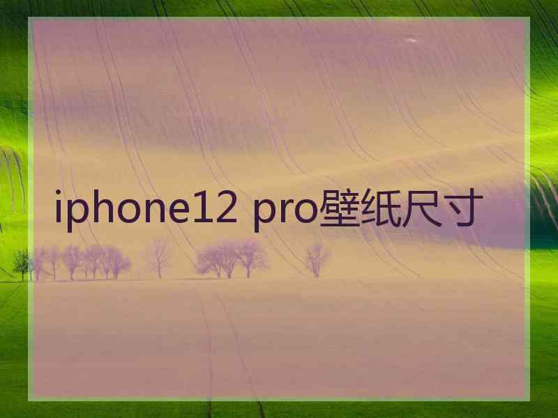 iphone12 pro壁纸尺寸