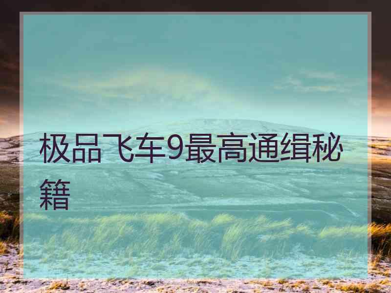 极品飞车9最高通缉秘籍