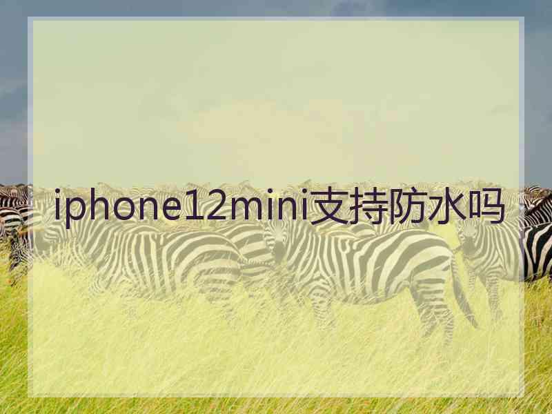 iphone12mini支持防水吗