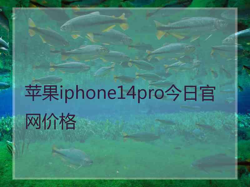 苹果iphone14pro今日官网价格