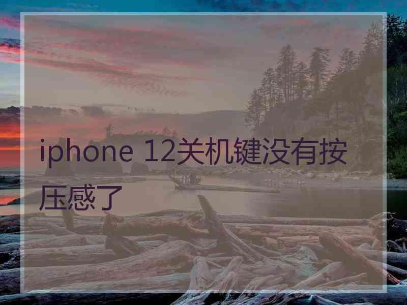 iphone 12关机键没有按压感了