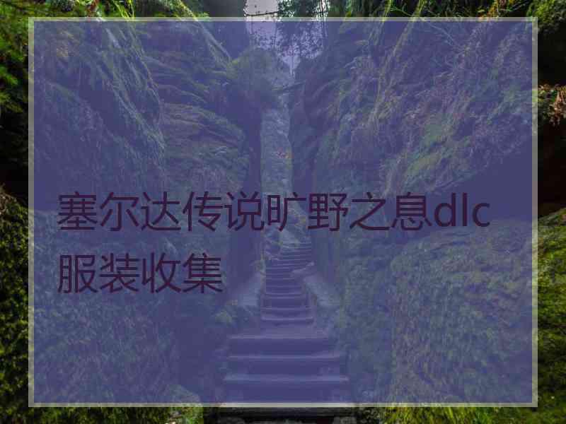 塞尔达传说旷野之息dlc服装收集