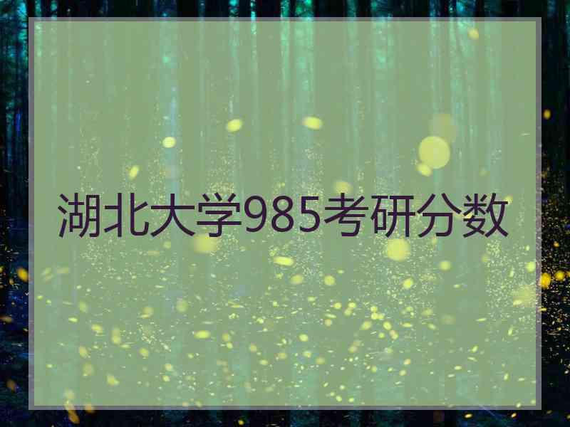 湖北大学985考研分数