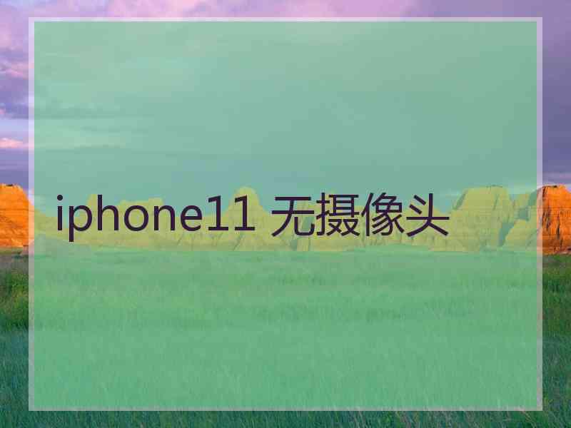 iphone11 无摄像头