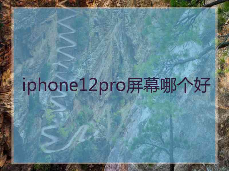 iphone12pro屏幕哪个好