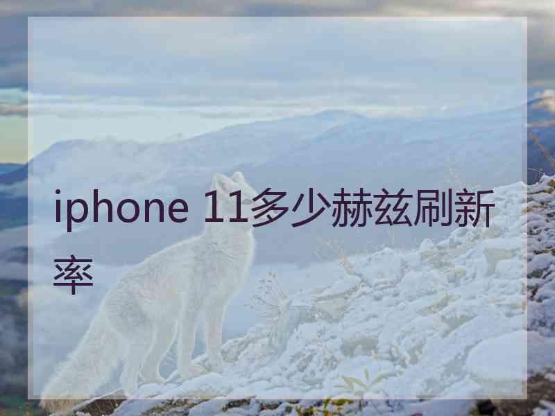 iphone 11多少赫兹刷新率