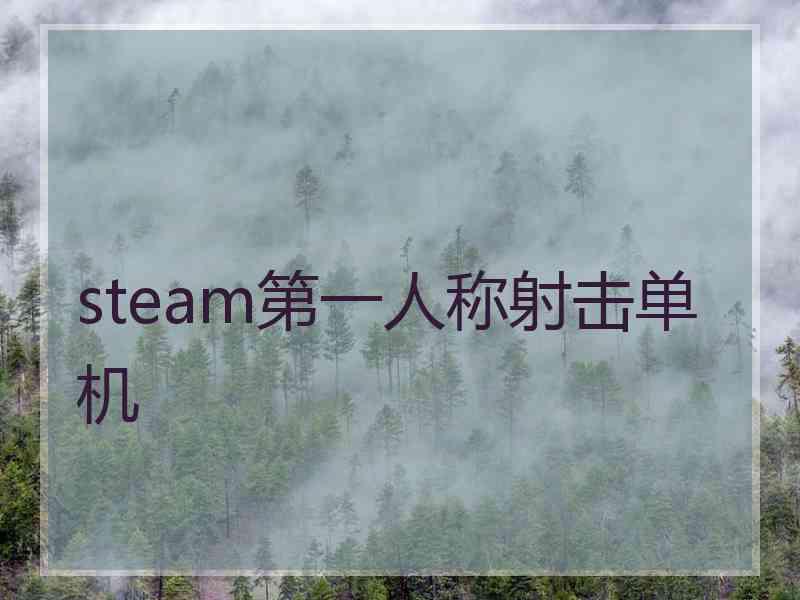 steam第一人称射击单机