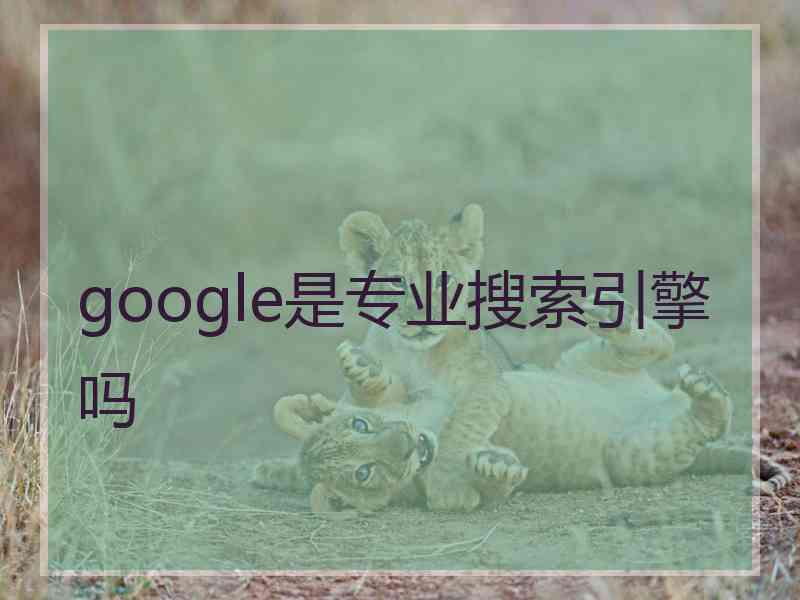 google是专业搜索引擎吗