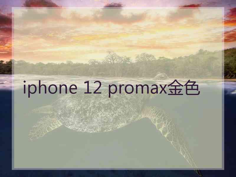 iphone 12 promax金色