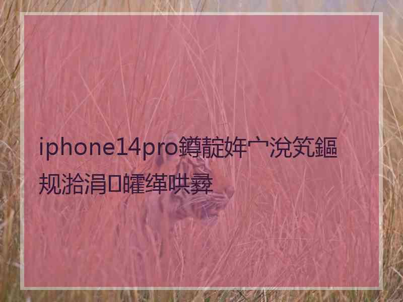 iphone14pro鐏靛姩宀涗笂鏂规湁涓皬缂哄彛