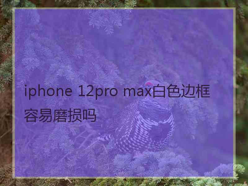 iphone 12pro max白色边框容易磨损吗