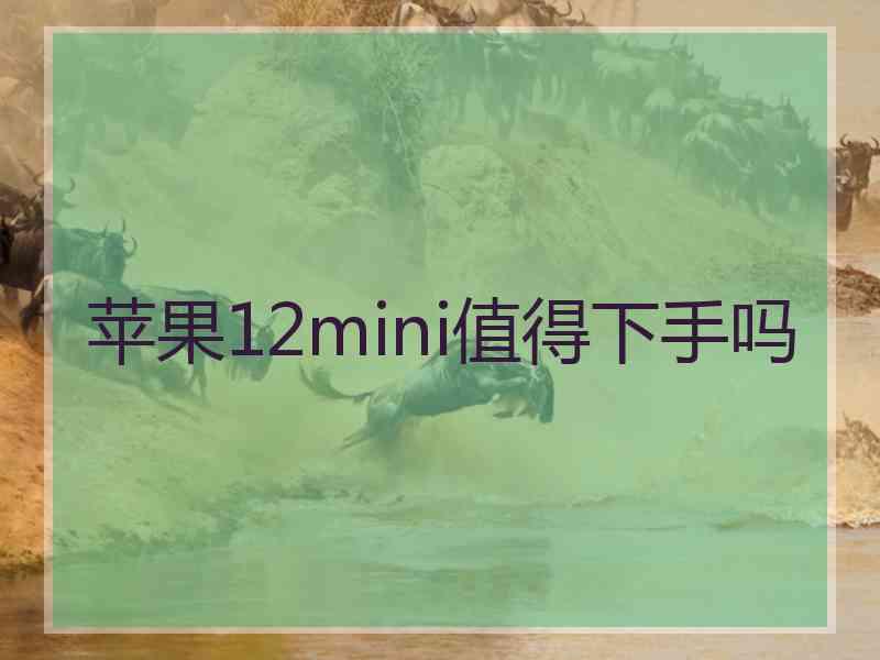 苹果12mini值得下手吗