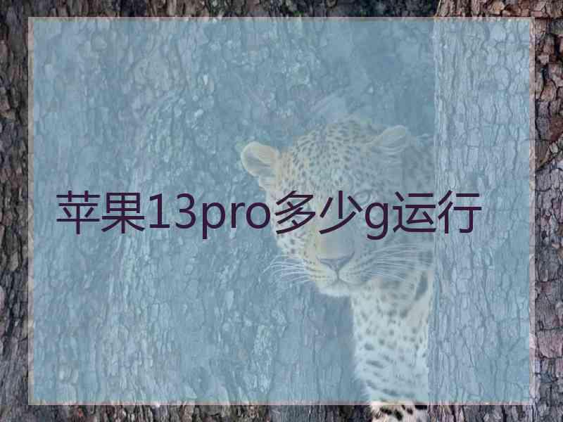 苹果13pro多少g运行