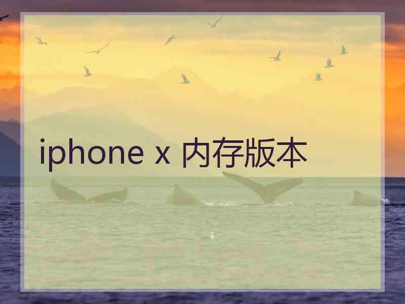 iphone x 内存版本