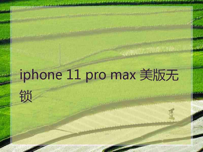 iphone 11 pro max 美版无锁