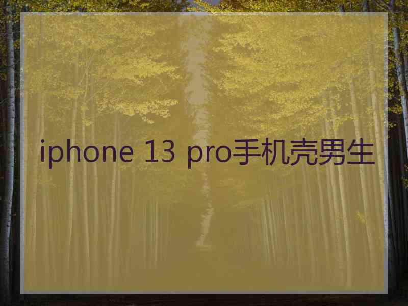 iphone 13 pro手机壳男生