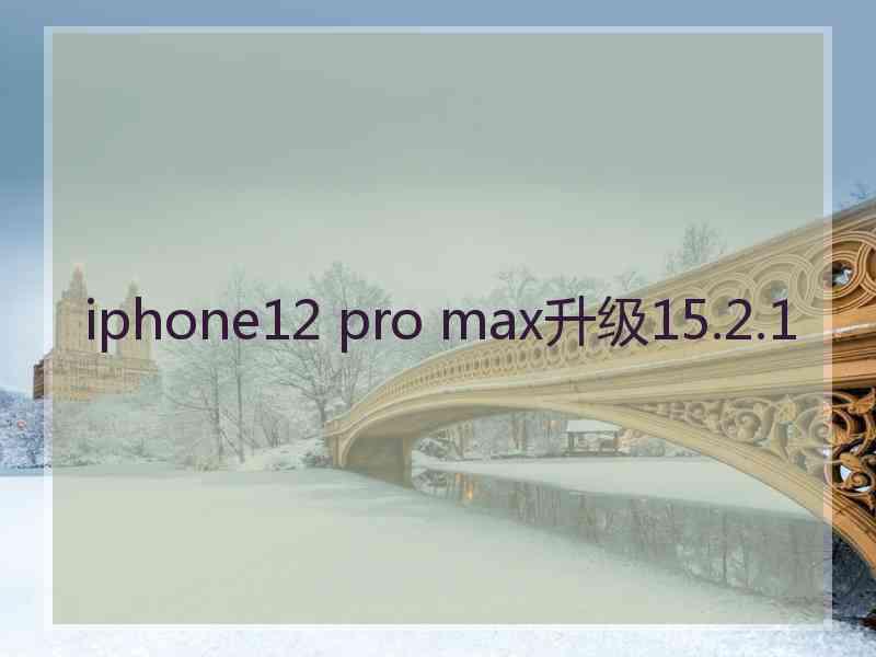 iphone12 pro max升级15.2.1