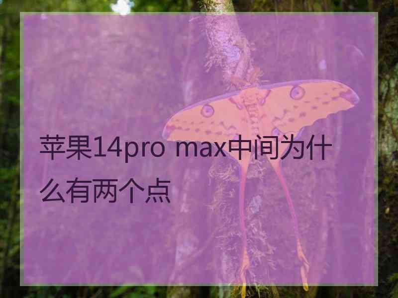 苹果14pro max中间为什么有两个点