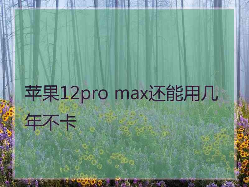 苹果12pro max还能用几年不卡